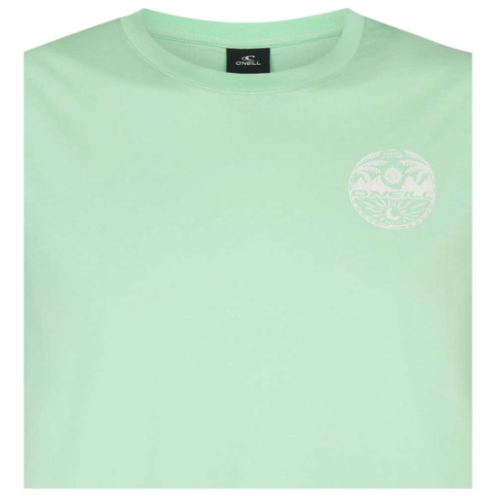 O'neill Ανδρική κοντομάνικη μπλούζα Chest Print T-Shirt O'neill Ανδρική κοντομάνικη μπλούζα Chest Print T-Shirt